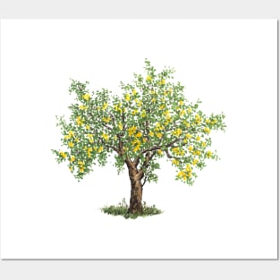 November birthday lemon tree Posters and Art